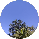 RABIUL DEWAN profile picture